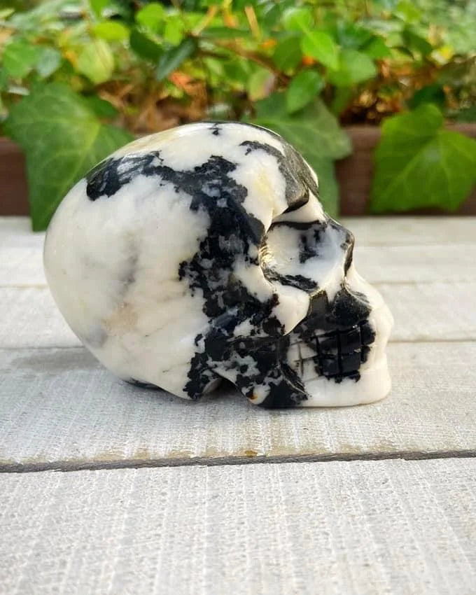 Zebra Jasper Skull