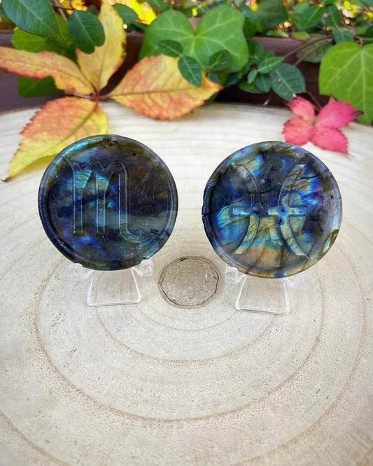 Labradorite Zodiac Discs