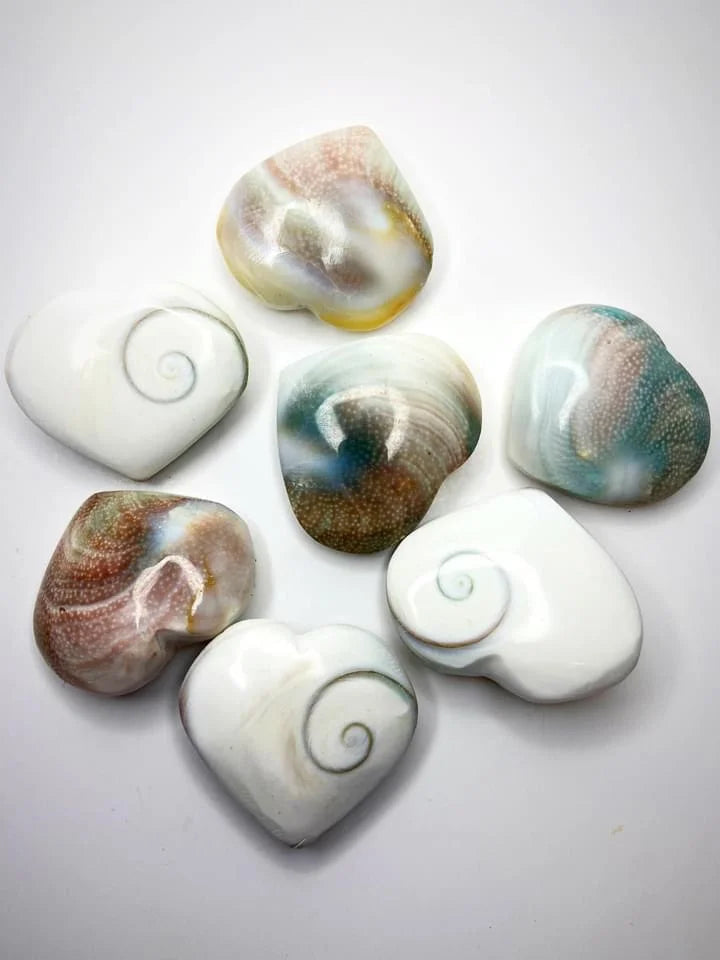 Shiva Eye Shell Hearts