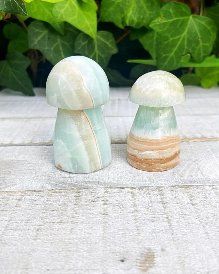 Caribbean Calcite Mushrooms