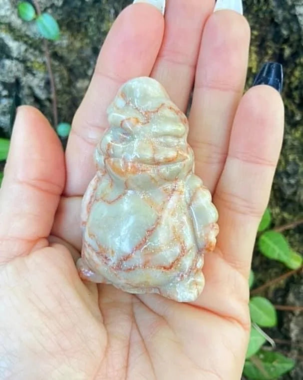 Red Vein Jasper Oogie Boogie