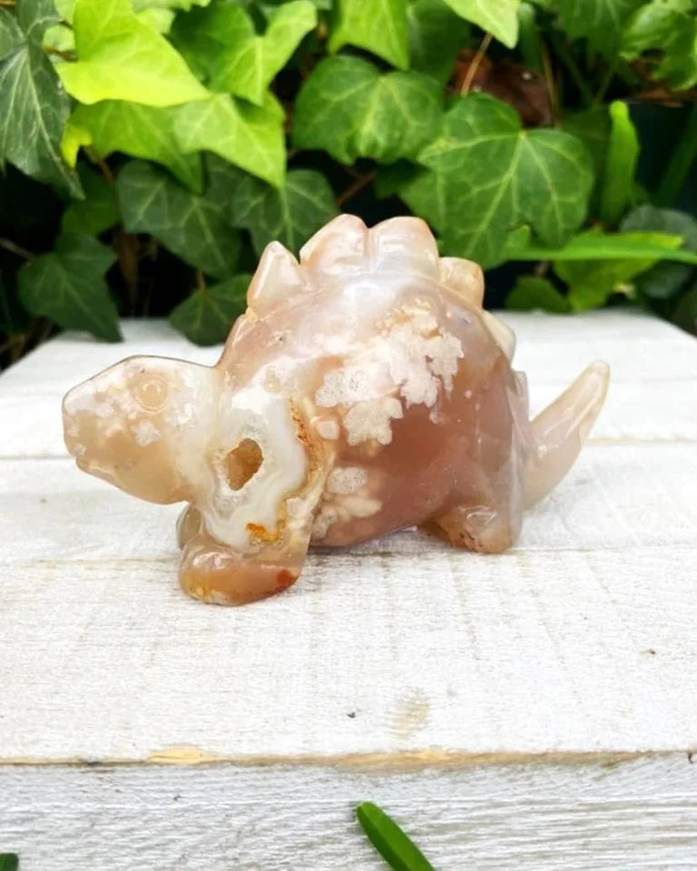 Flower Agate Dinosaur