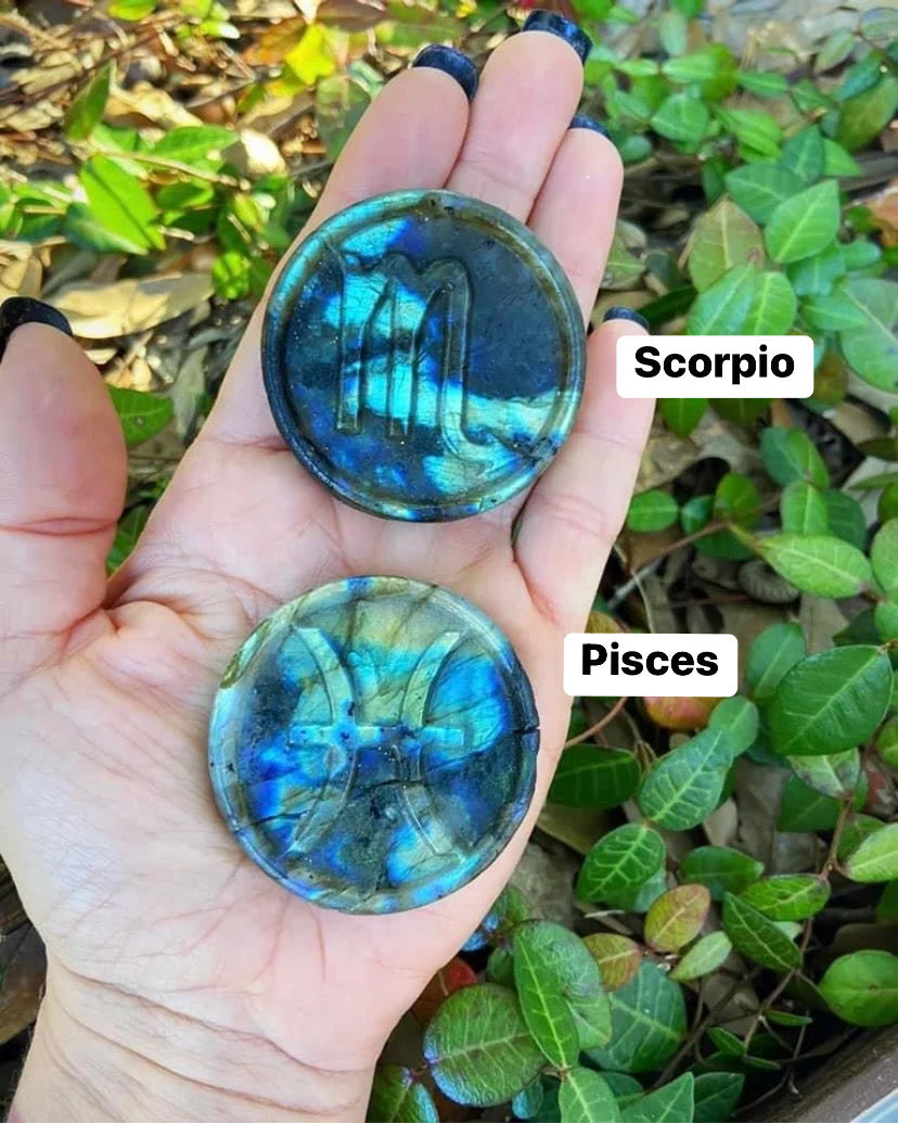 Labradorite Zodiac Discs