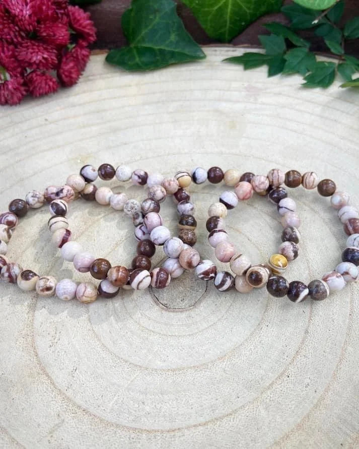 Chocolate Zebra Jasper Bracelets 8mm