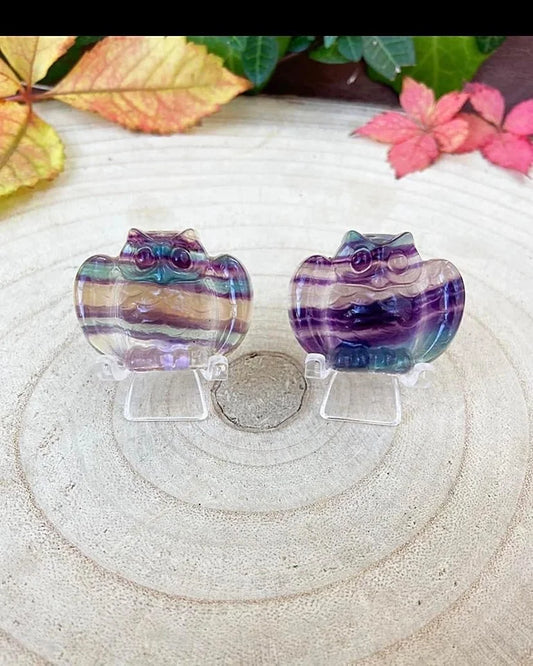 Fluorite Owls