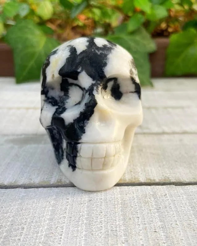 Zebra Jasper Skull