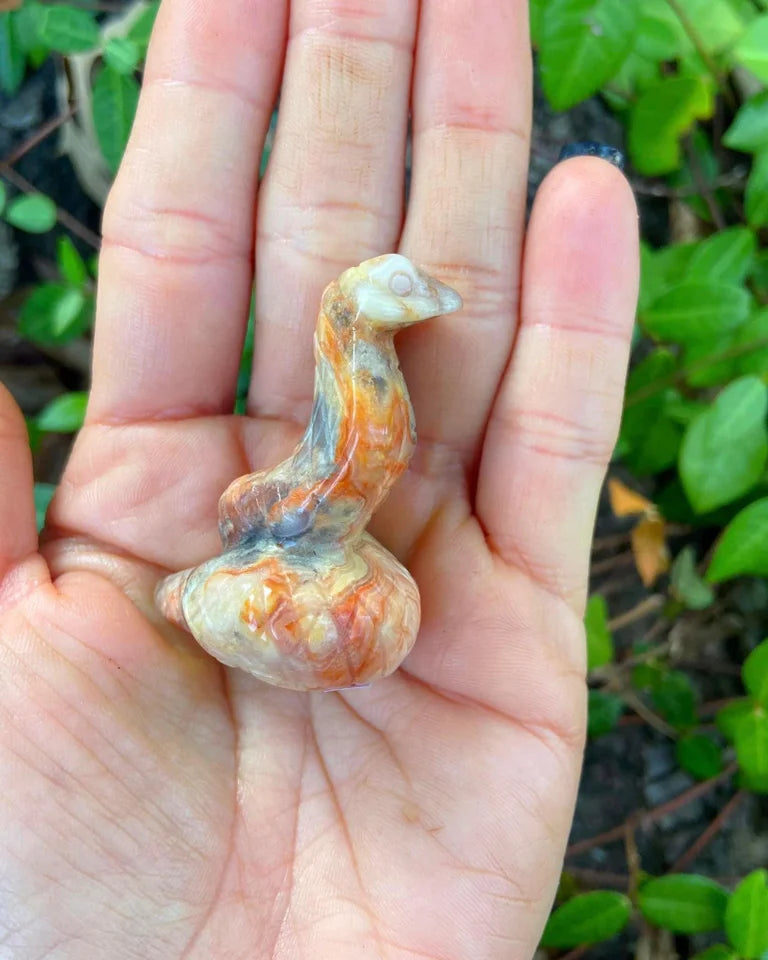 Crazy Lace Agate Snake