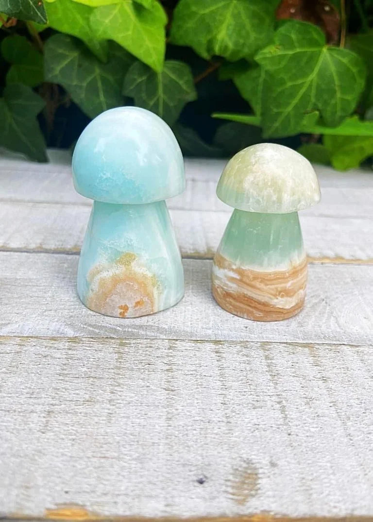 Caribbean Calcite Mushrooms