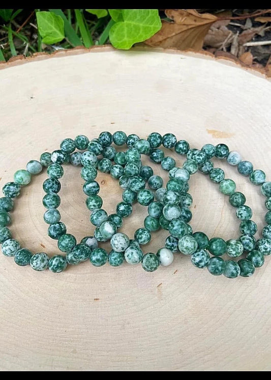 Tree Agate Bracelets 8mm