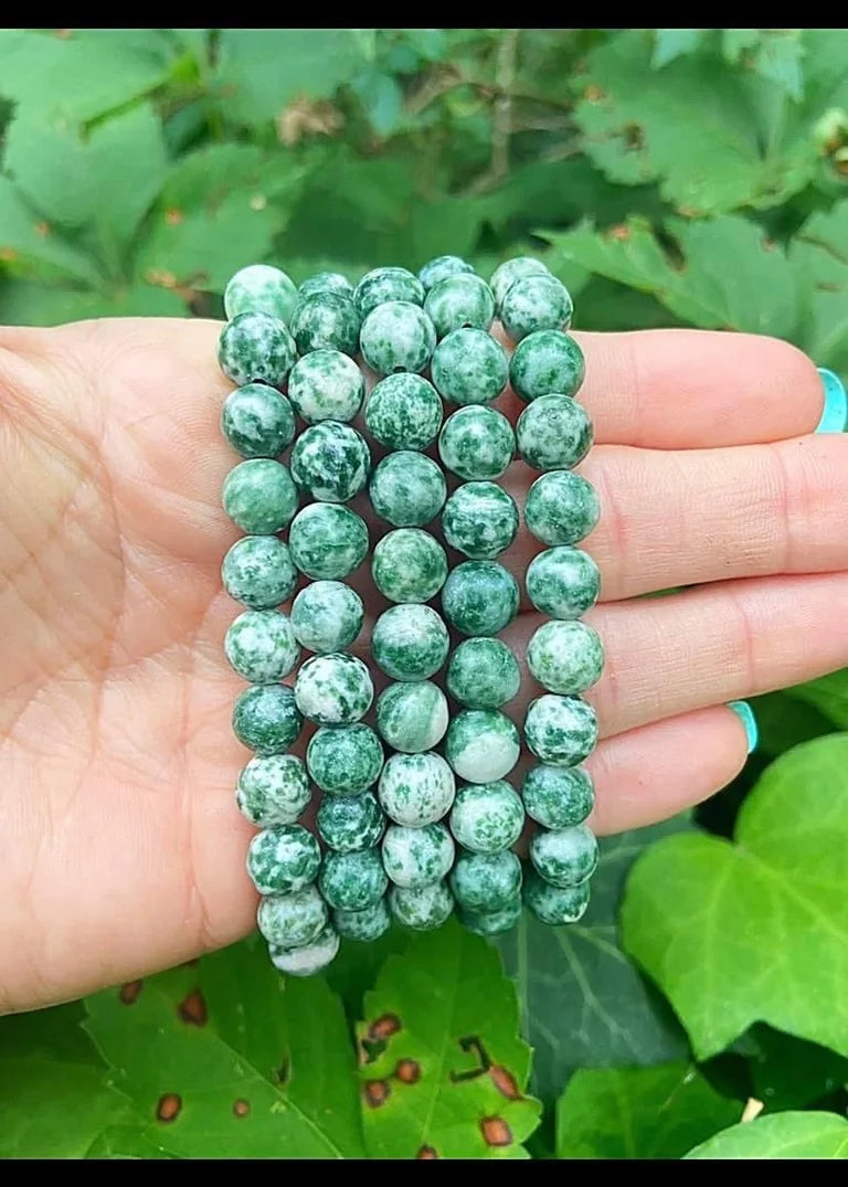 Tree Agate Bracelets 8mm