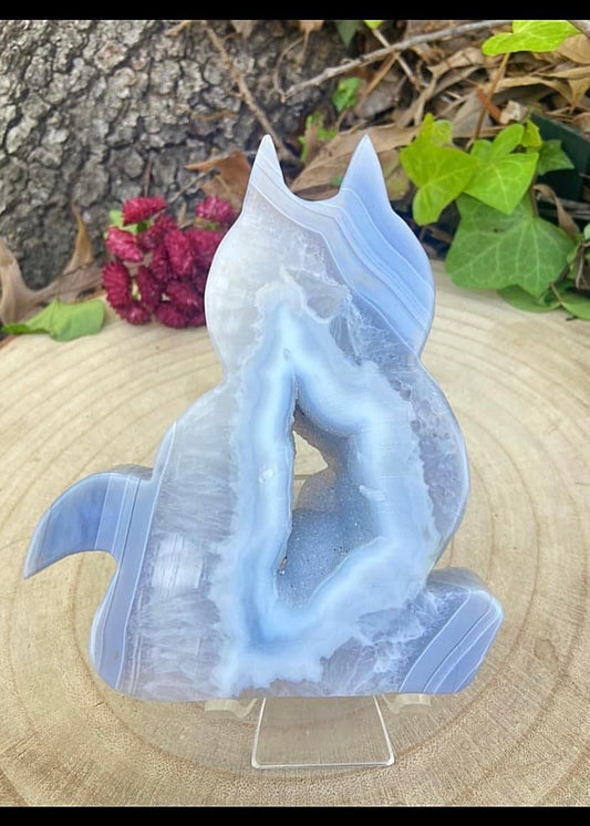 Large Agate Cat