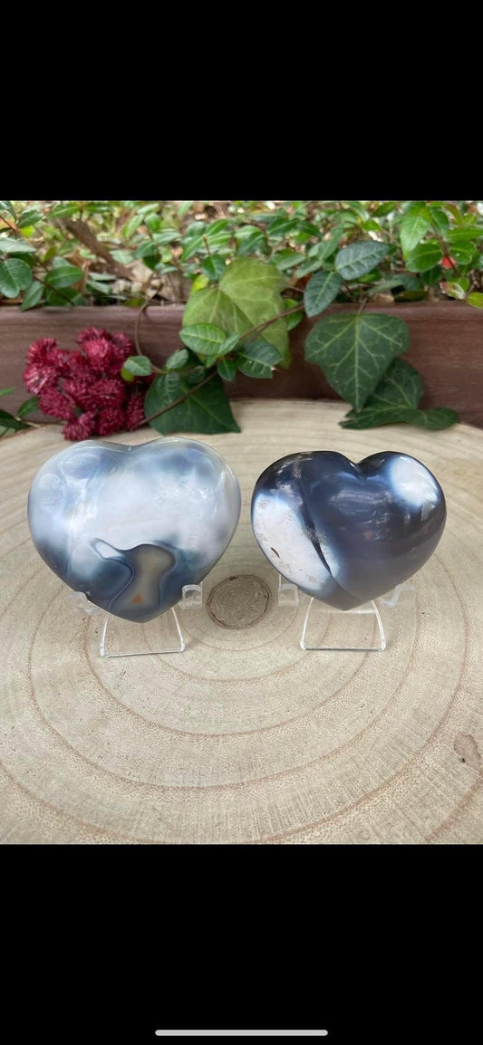 Orca Agate Hearts