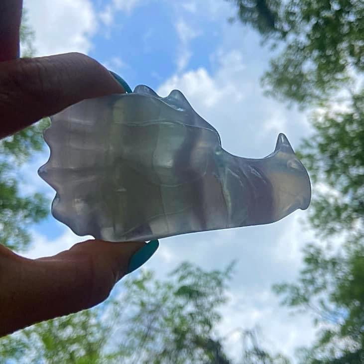 Fluorite Dragon