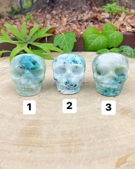 Phoenix Stone Skulls