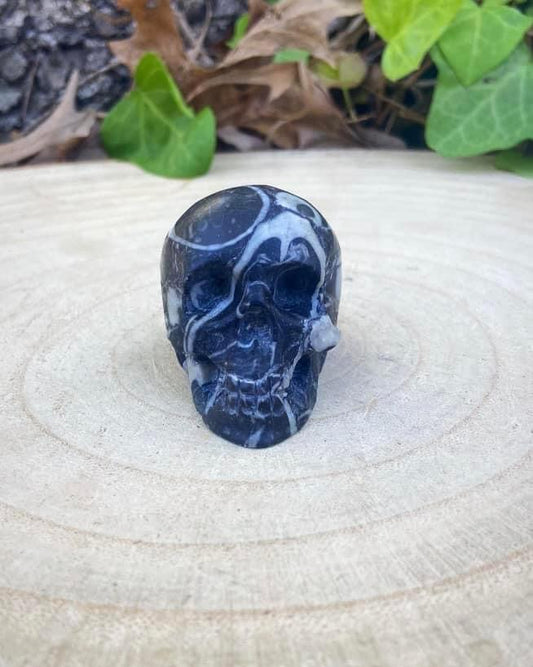 Zebra Jasper Skull