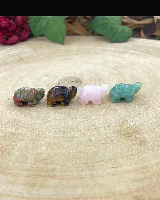 Mini Turtles